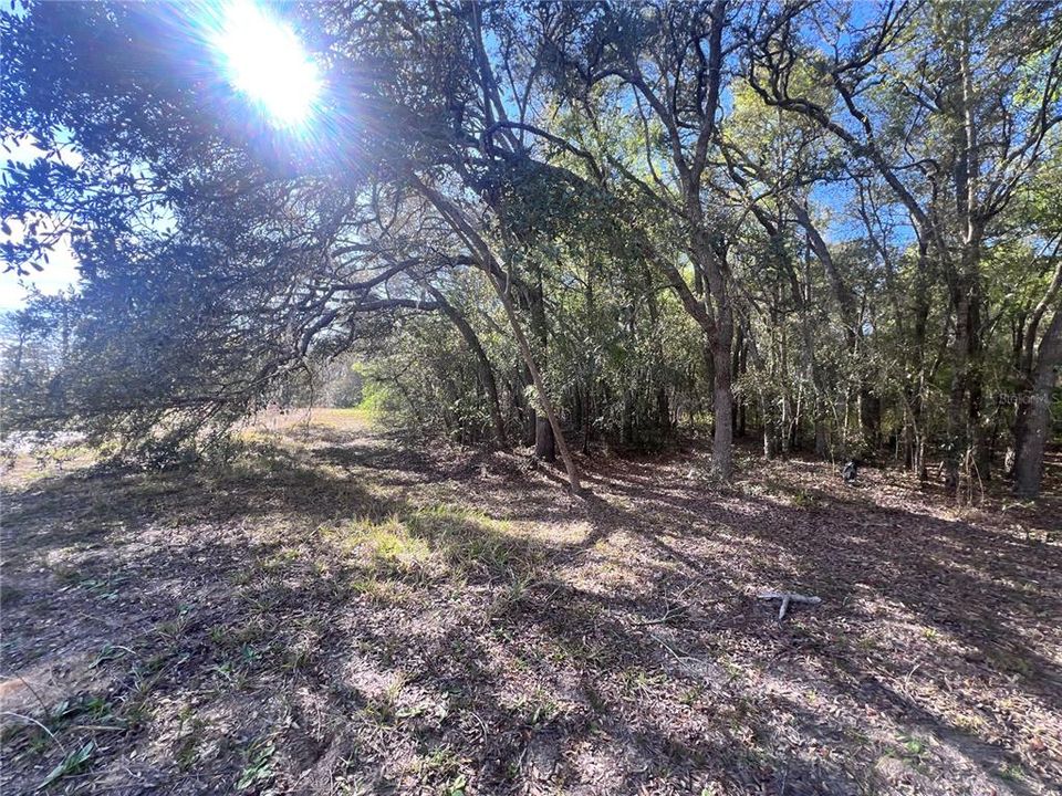 For Sale: $275,000 (0 beds, 0 baths, 3070 Square Feet)