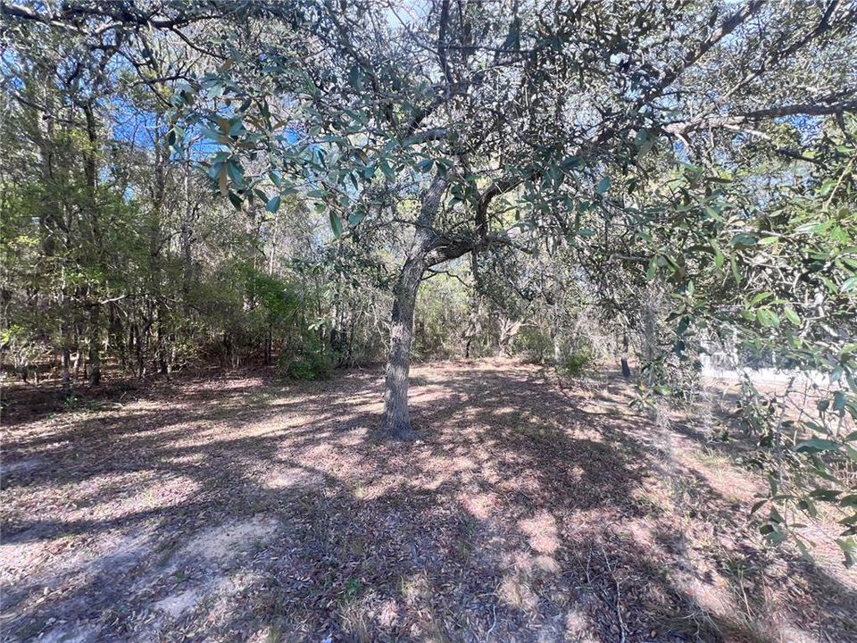 For Sale: $275,000 (0 beds, 0 baths, 3070 Square Feet)