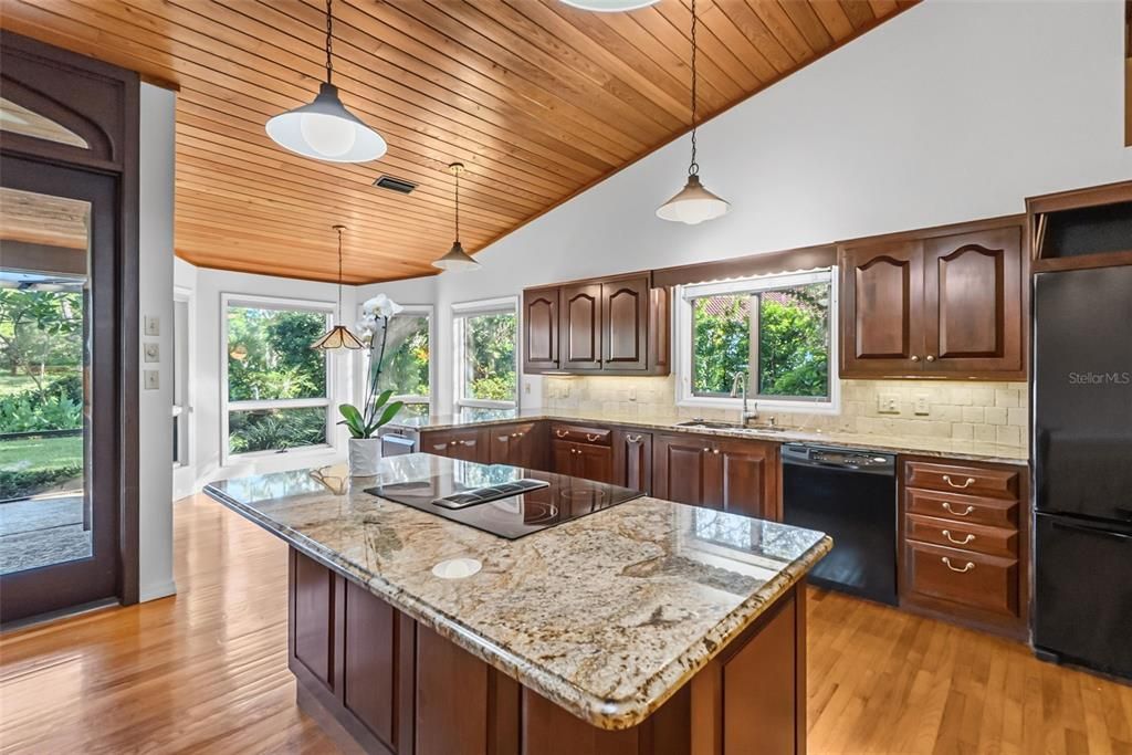 En Venta: $1,450,000 (4 camas, 2 baños, 3765 Pies cuadrados)