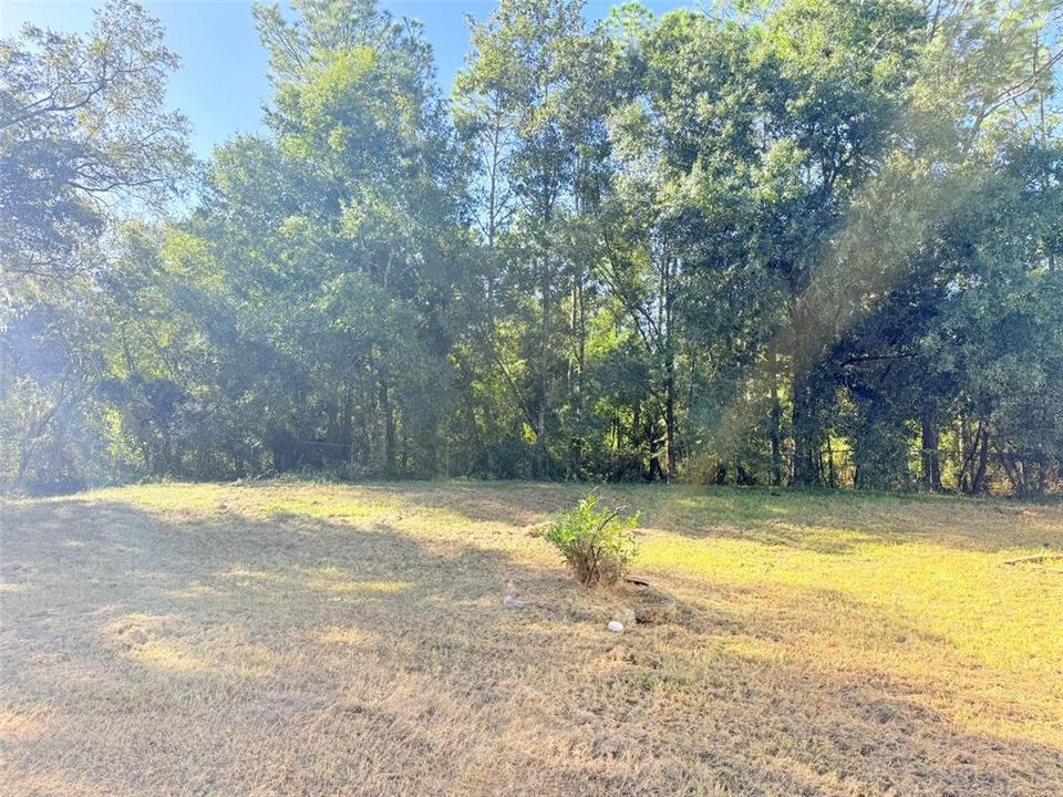 For Rent: $1,980 (3 beds, 2 baths, 1620 Square Feet)
