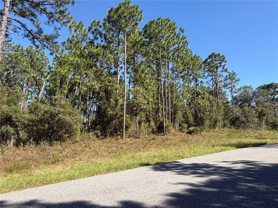 На продажу: $70,000 (1.00 acres)