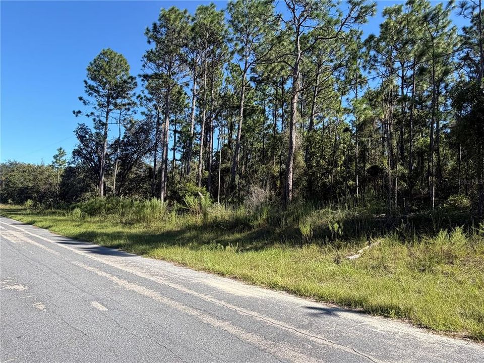 На продажу: $70,000 (1.00 acres)