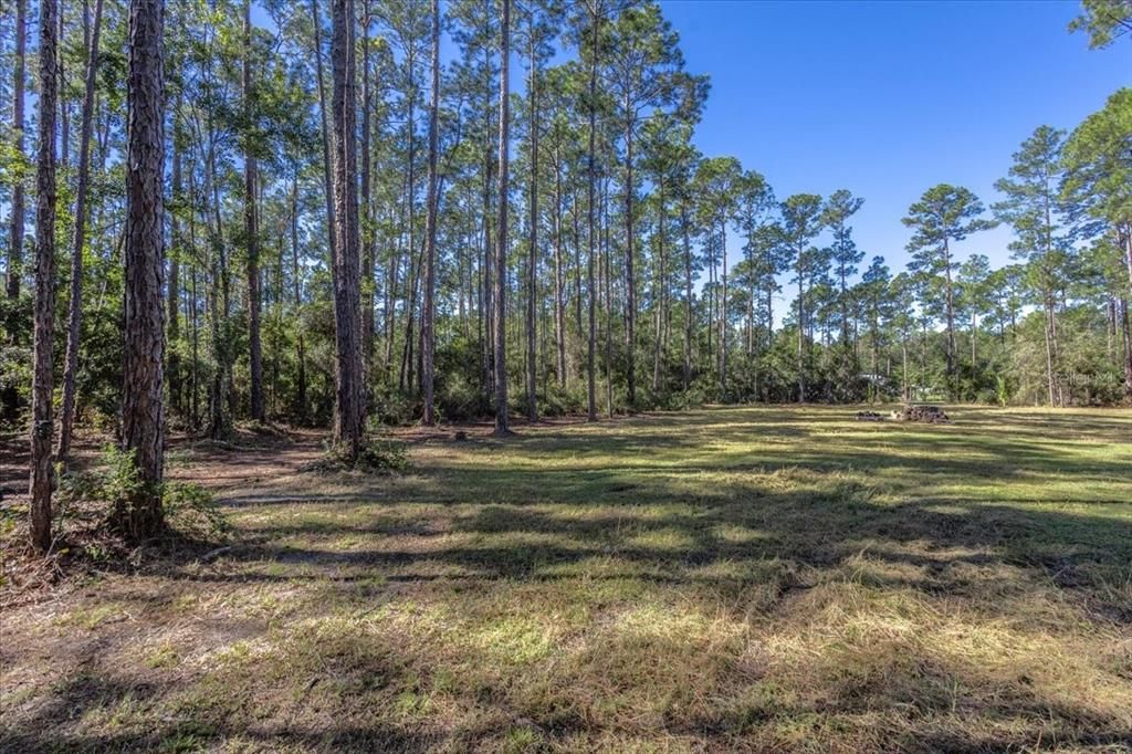 待售: $59,000 (1.14 acres)