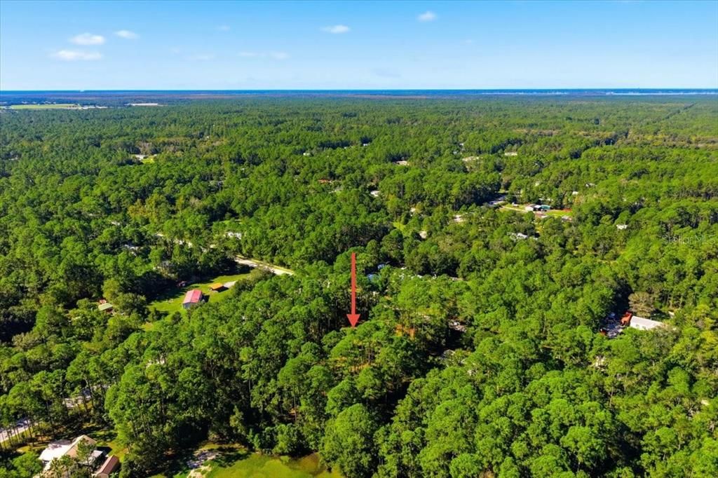 待售: $59,000 (1.14 acres)
