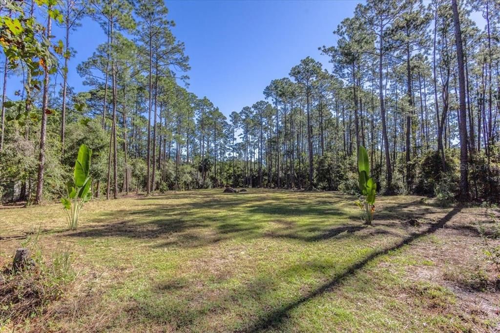 待售: $59,000 (1.14 acres)