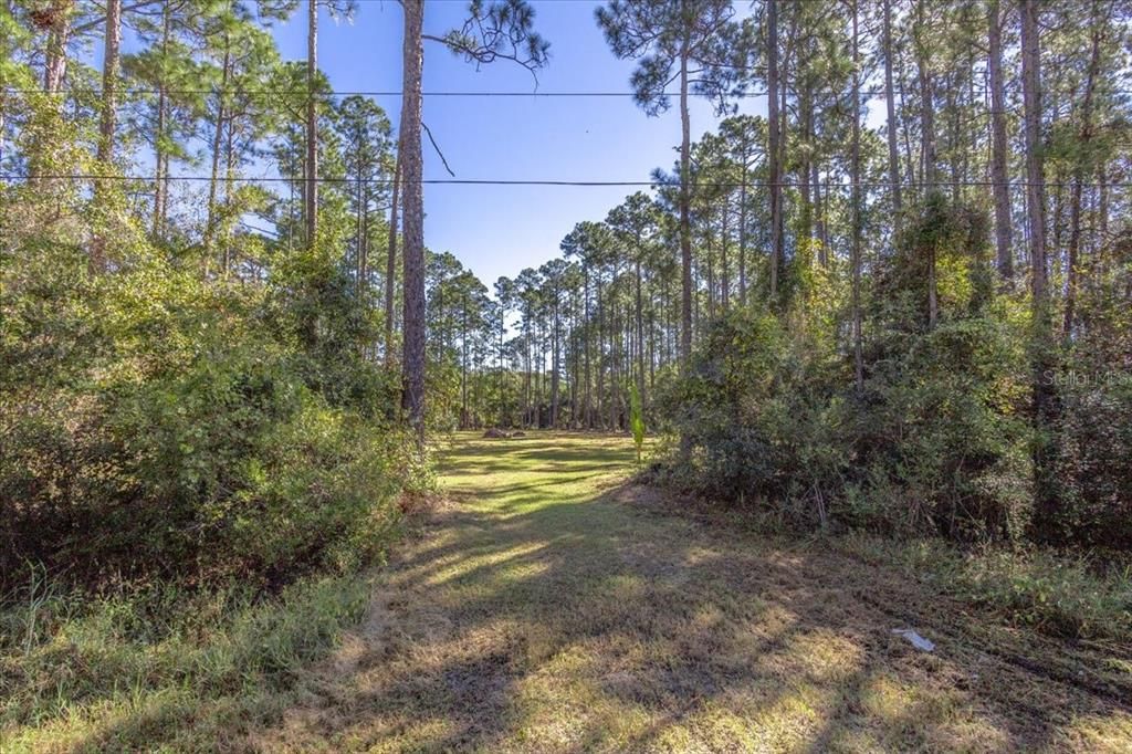 待售: $59,000 (1.14 acres)