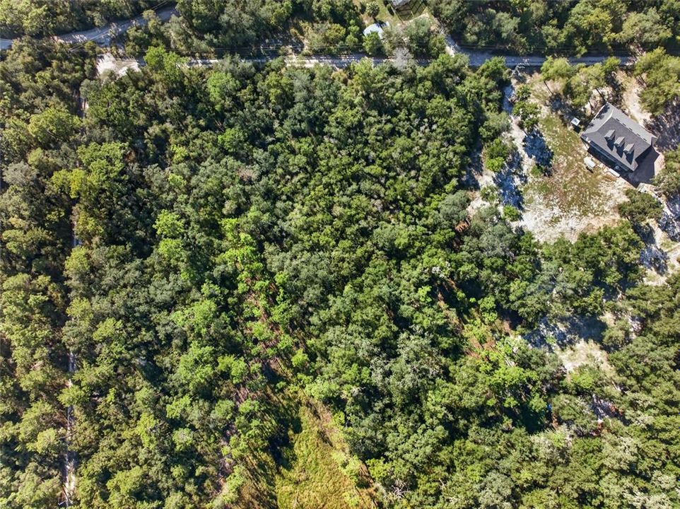 For Sale: $125,000 (2.50 acres)
