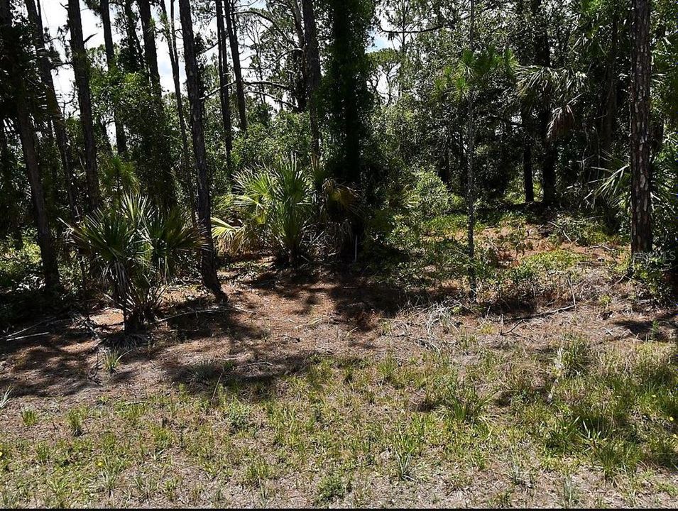 For Sale: $25,000 (0.23 acres)
