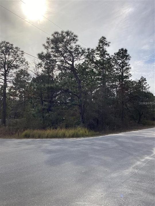 待售: $40,000 (0.48 acres)