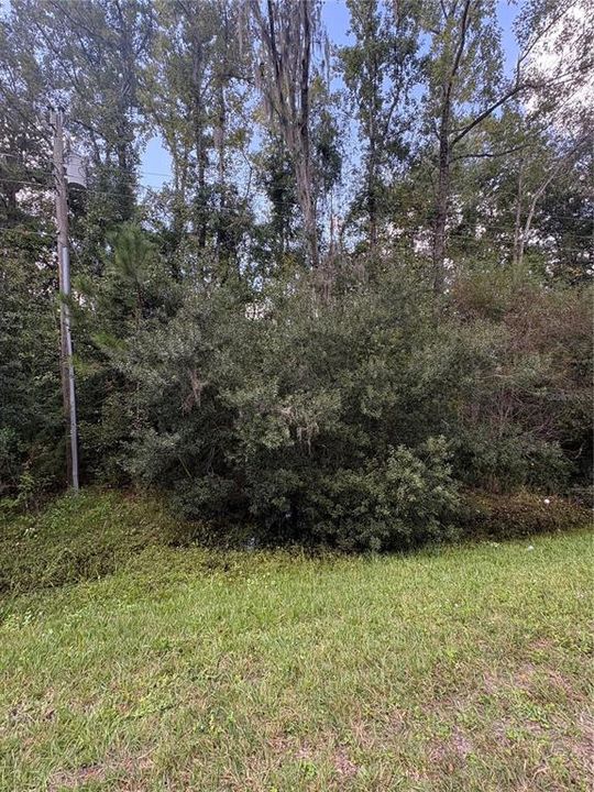 For Sale: $72,000 (2.51 acres)