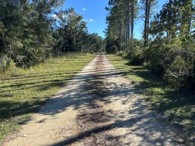 En Venta: $65,000 (1.28 acres)