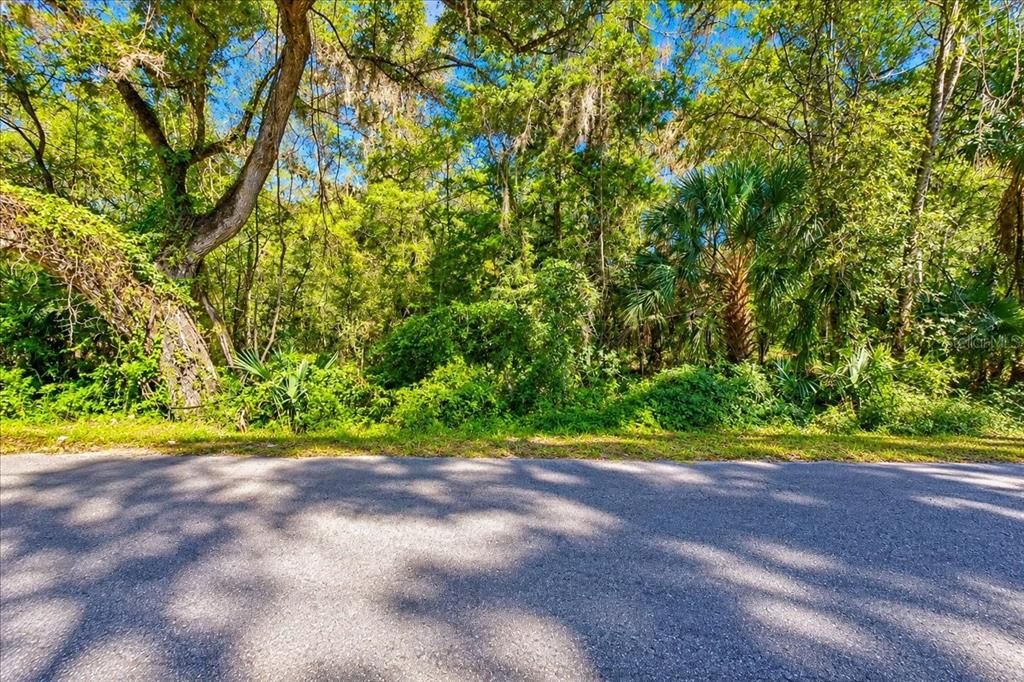 待售: $65,000 (5.00 acres)