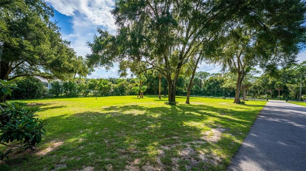 待售: $249,900 (1.11 acres)