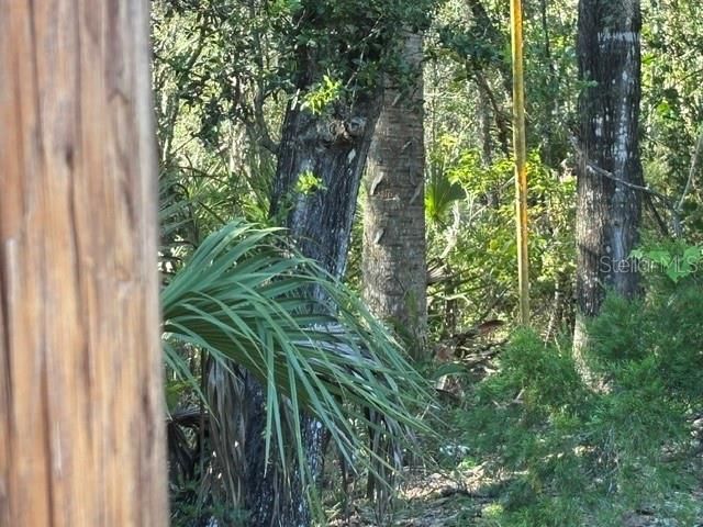 En Venta: $782,400 (38.12 acres)