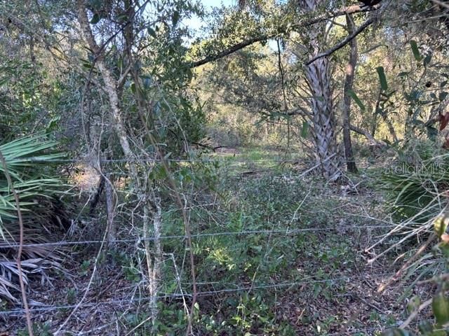 En Venta: $782,400 (38.12 acres)