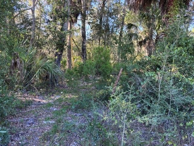 En Venta: $782,400 (38.12 acres)