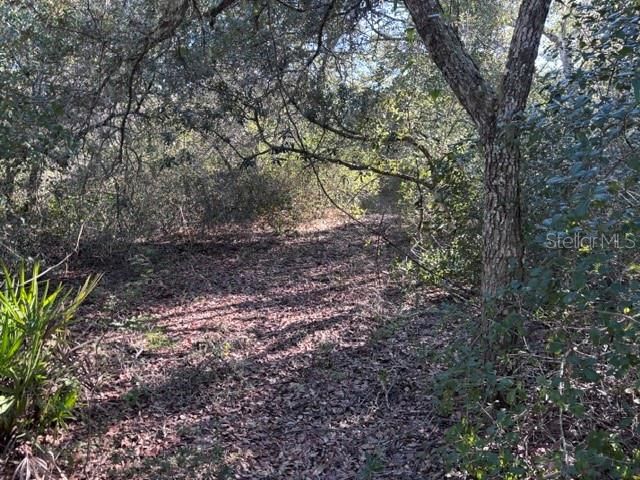 En Venta: $782,400 (38.12 acres)
