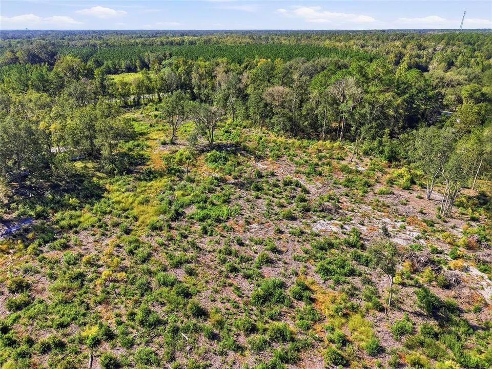 На продажу: $524,500 (26.65 acres)