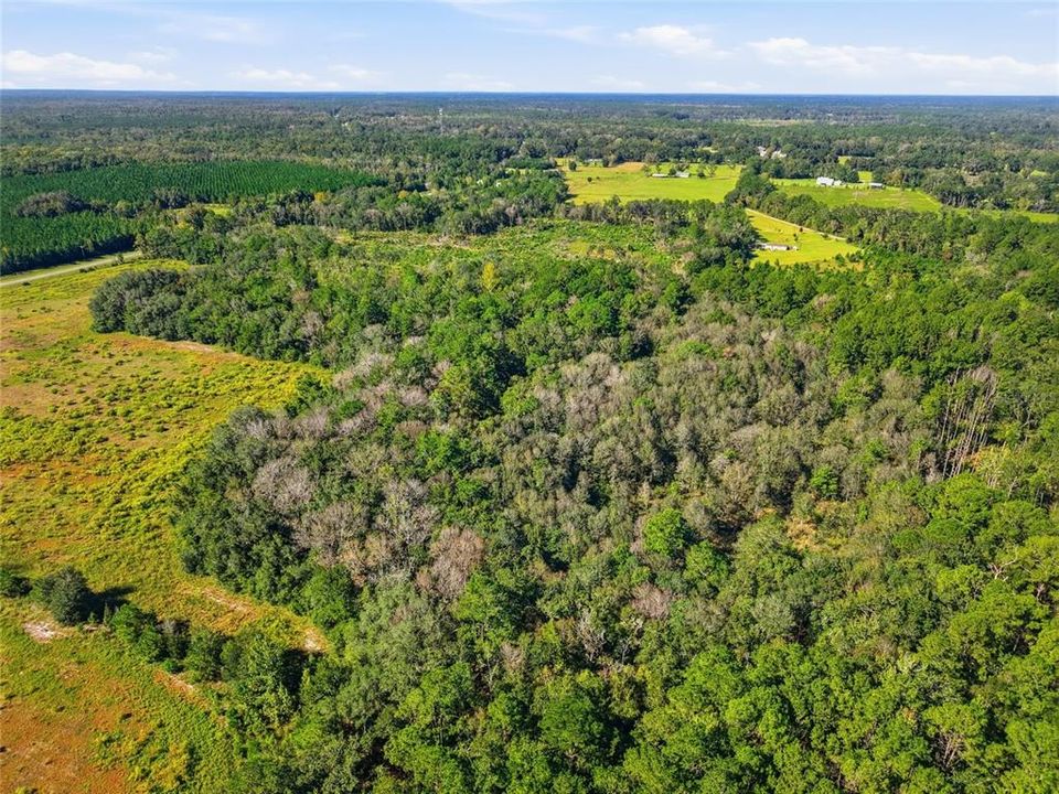На продажу: $524,500 (26.65 acres)