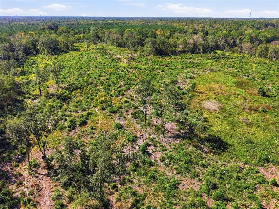 На продажу: $524,500 (26.65 acres)