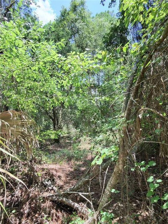 待售: $15,000 (0.23 acres)
