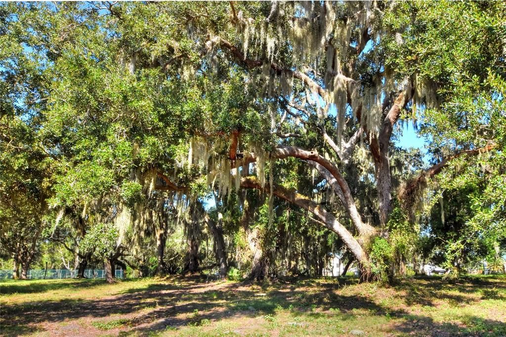 En Venta: $900,000 (2.32 acres)