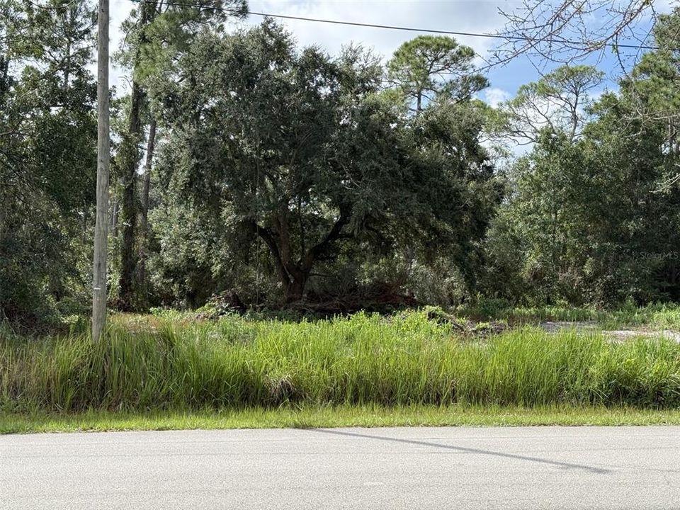 For Sale: $24,900 (0.23 acres)