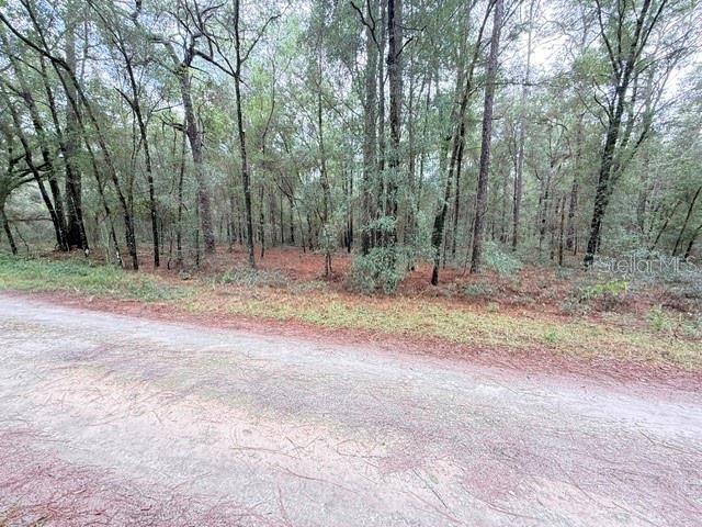 En Venta: $25,000 (0.46 acres)