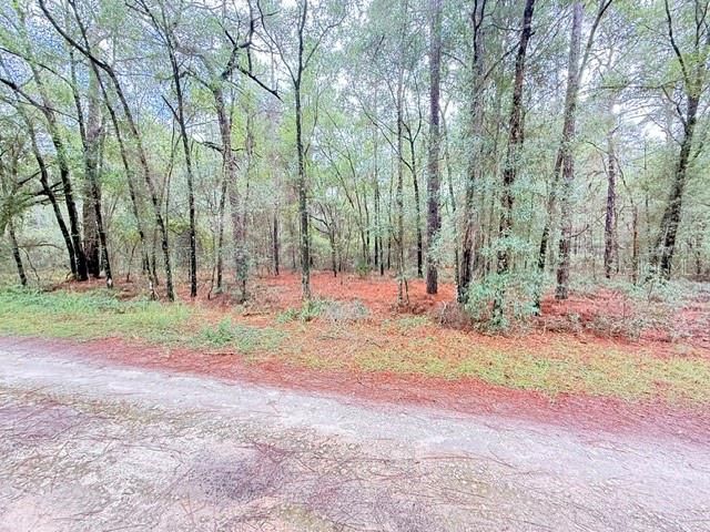 En Venta: $25,000 (0.46 acres)