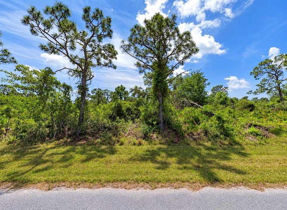 For Sale: $13,000 (0.23 acres)