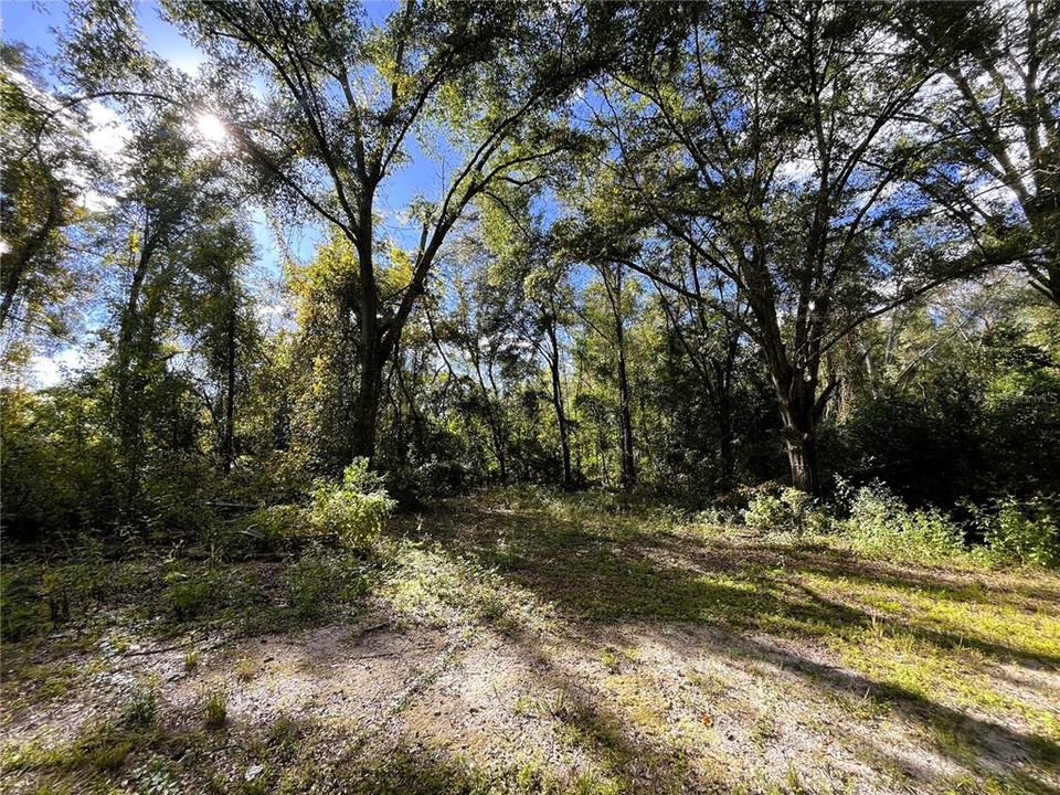 For Sale: $159,900 (3 beds, 2 baths, 1252 Square Feet)