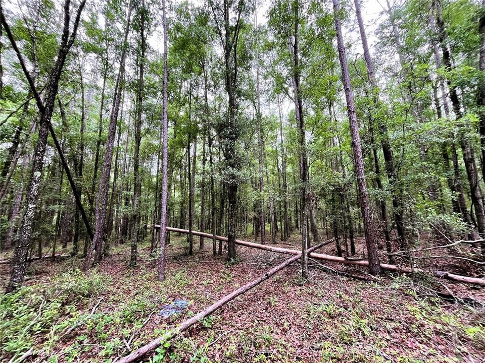 For Sale: $159,900 (3 beds, 2 baths, 1252 Square Feet)