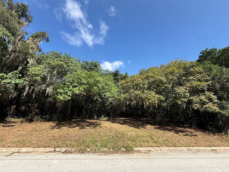 For Sale: $59,000 (0.45 acres)