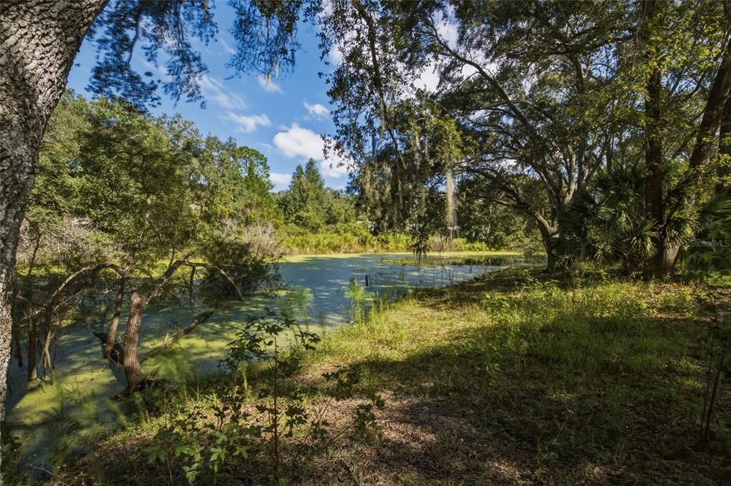 На продажу: $59,900 (0.52 acres)