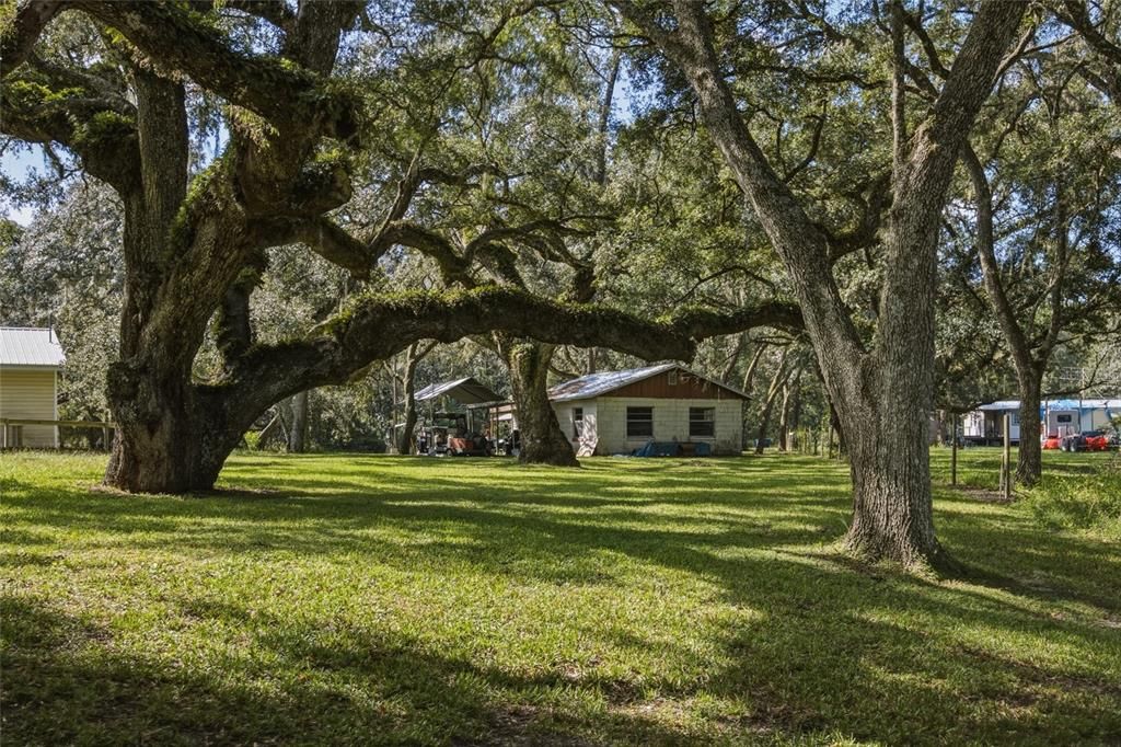 На продажу: $59,900 (0.52 acres)