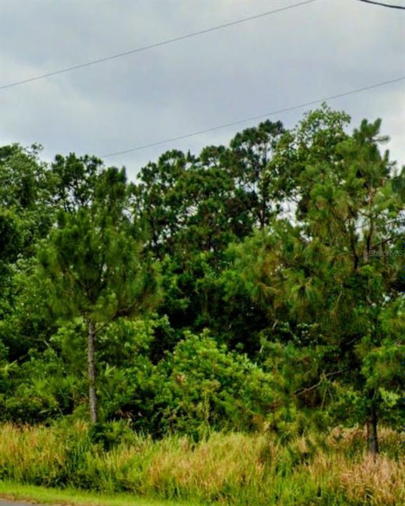 待售: $16,500 (0.23 acres)