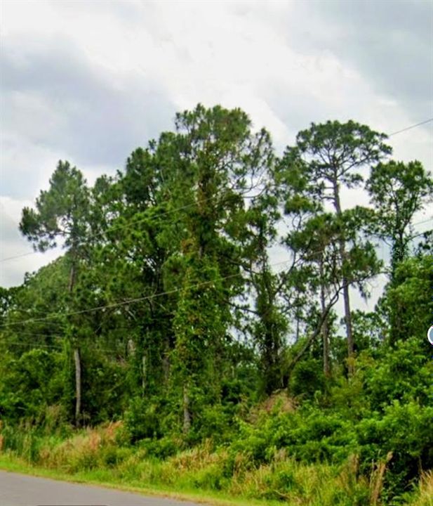 待售: $16,500 (0.23 acres)