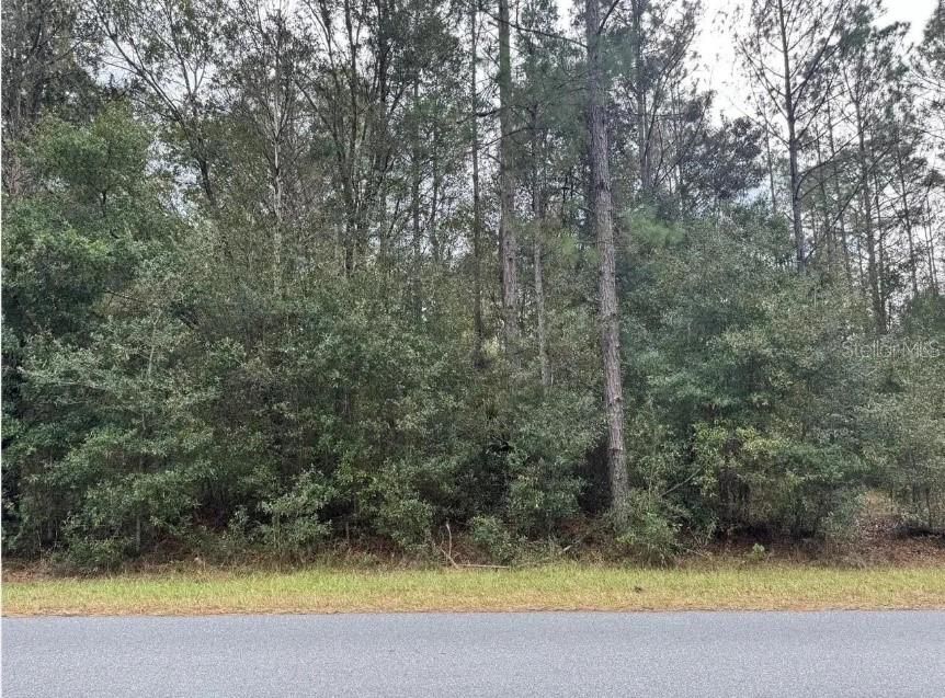 En Venta: $70,000 (0.46 acres)