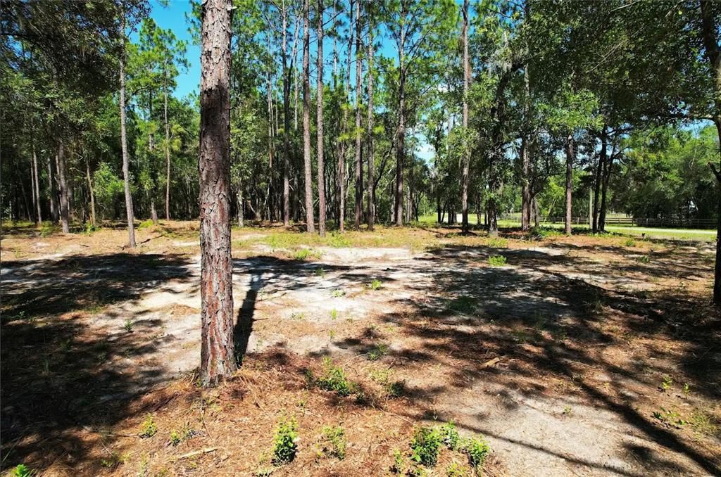 На продажу: $111,995 (5.00 acres)