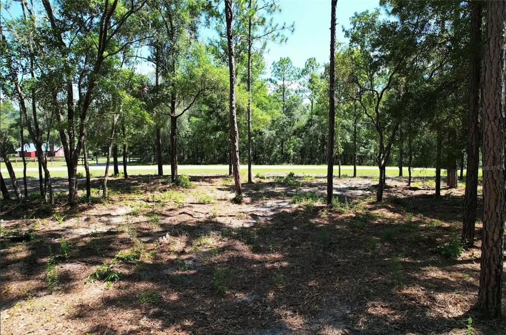 На продажу: $111,995 (5.00 acres)