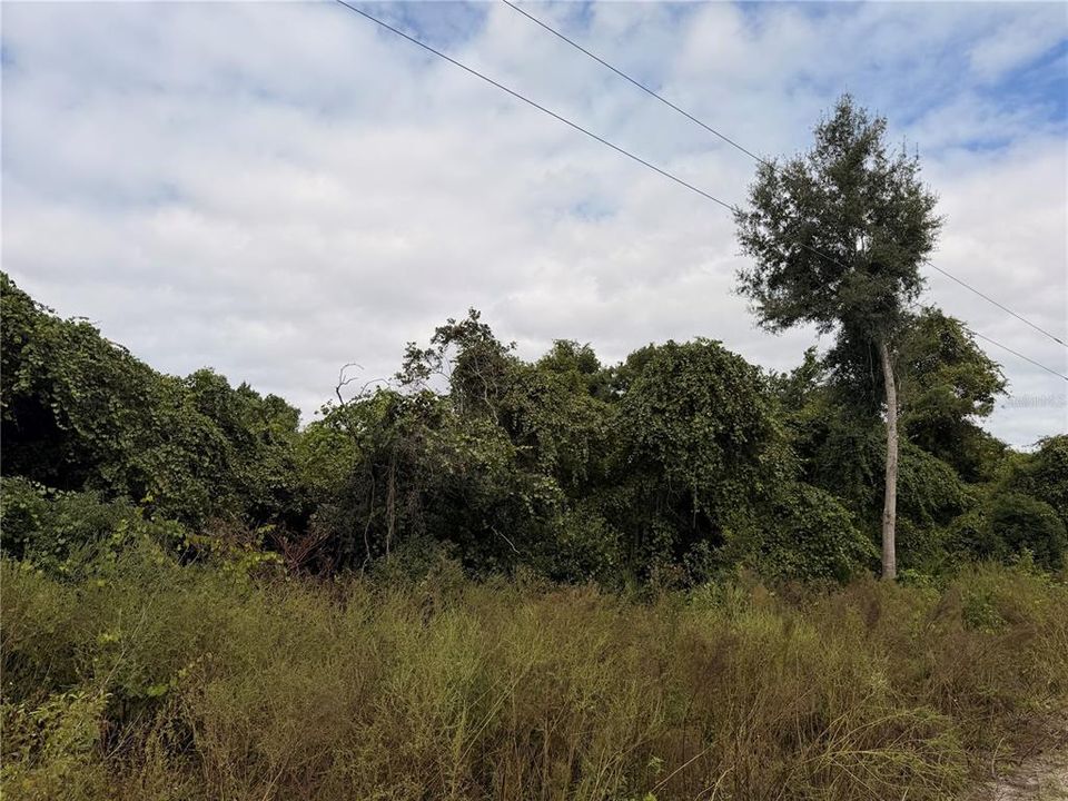 For Sale: $26,999 (0.22 acres)