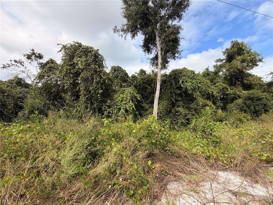 For Sale: $26,999 (0.22 acres)