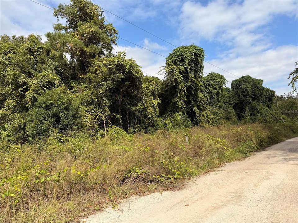 For Sale: $26,999 (0.22 acres)