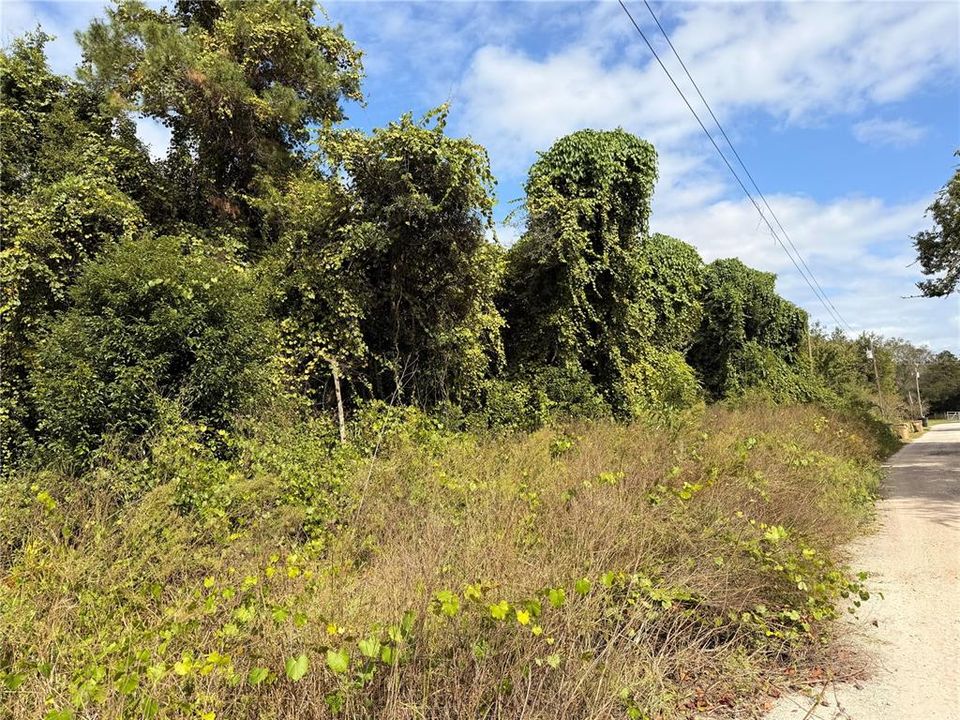 For Sale: $26,999 (0.22 acres)