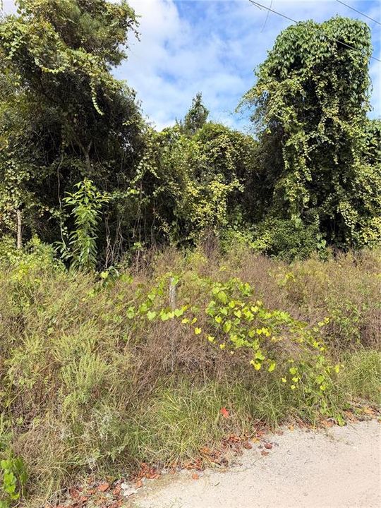 For Sale: $26,999 (0.22 acres)