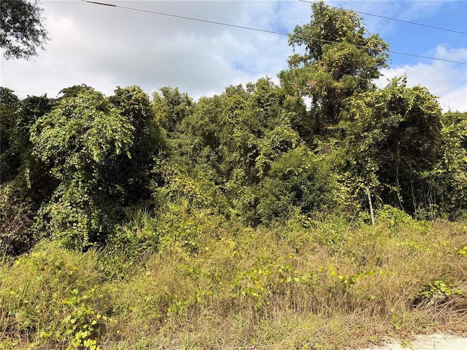 For Sale: $26,999 (0.22 acres)