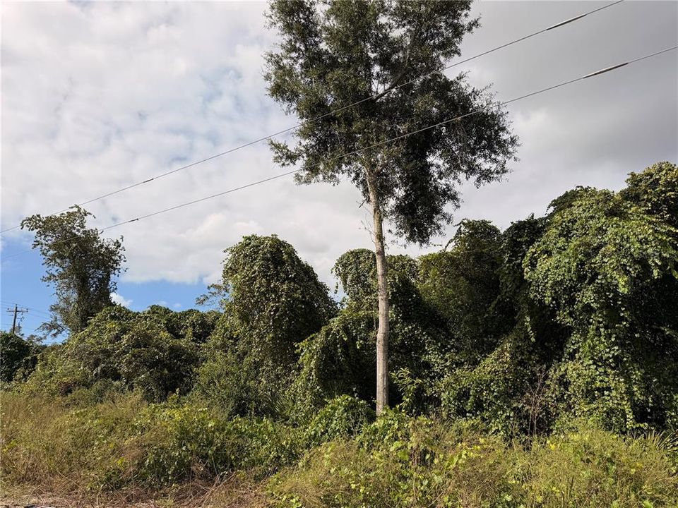 For Sale: $26,999 (0.22 acres)