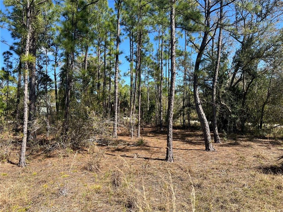 На продажу: $19,990 (0.17 acres)