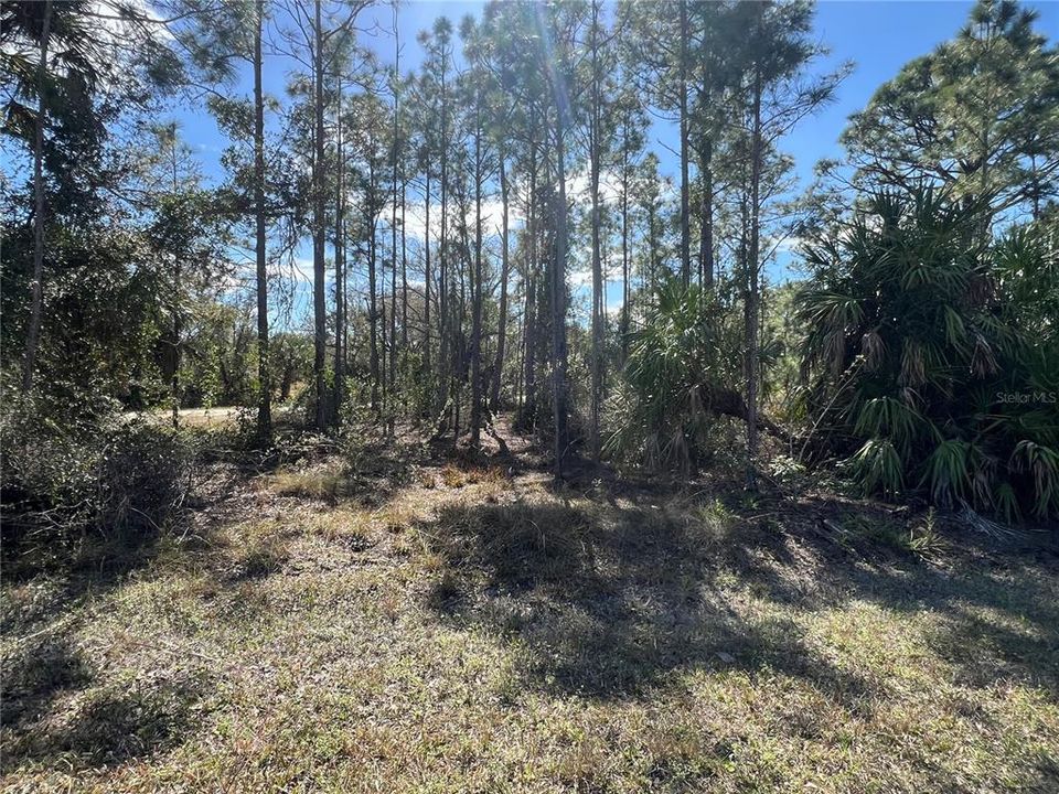 На продажу: $19,990 (0.17 acres)