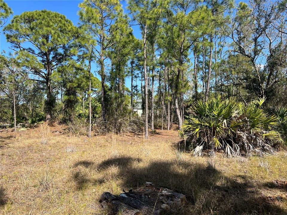 На продажу: $19,990 (0.17 acres)